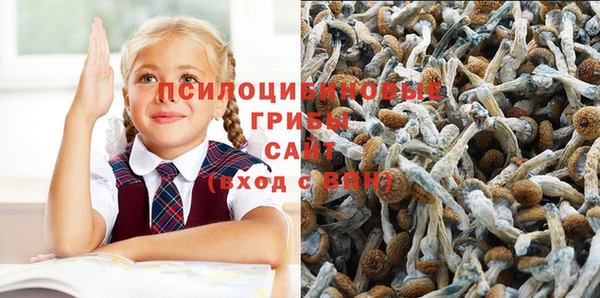 соль курить ск Аркадак