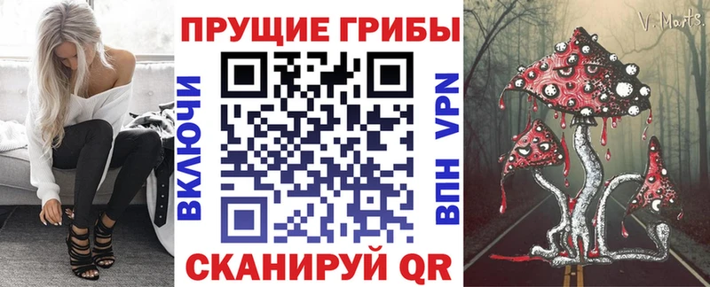Псилоцибиновые грибы прущие грибы  kraken ТОР  Тара 
